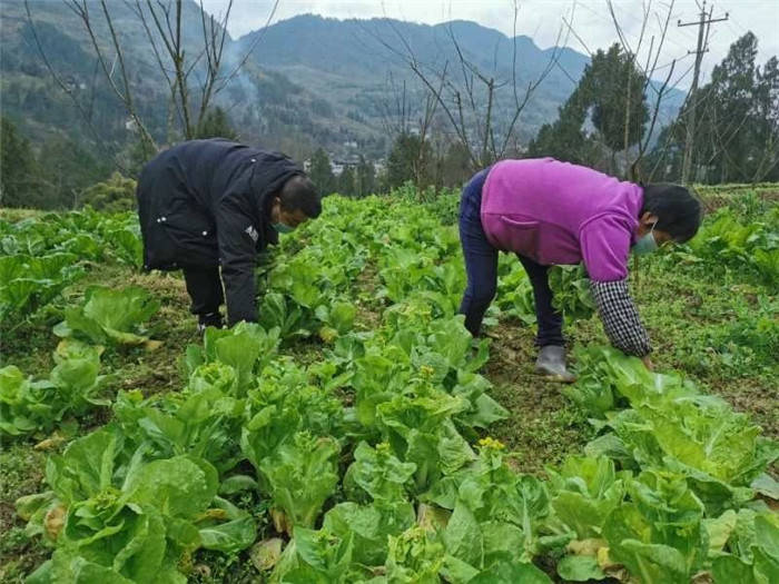 用心戰(zhàn)“疫” 助力防疫一線